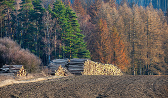 The Suggests for Sustainable Forest Management in Gyeonggi-Do