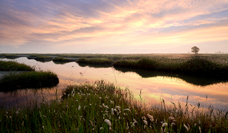 A Management Plan for Gyeonggi Garden to be Integrated with the Shiwha Marsh